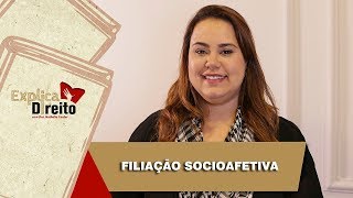 Explica Direito Filiação Socioafetiva  2019 [upl. by Berhley930]